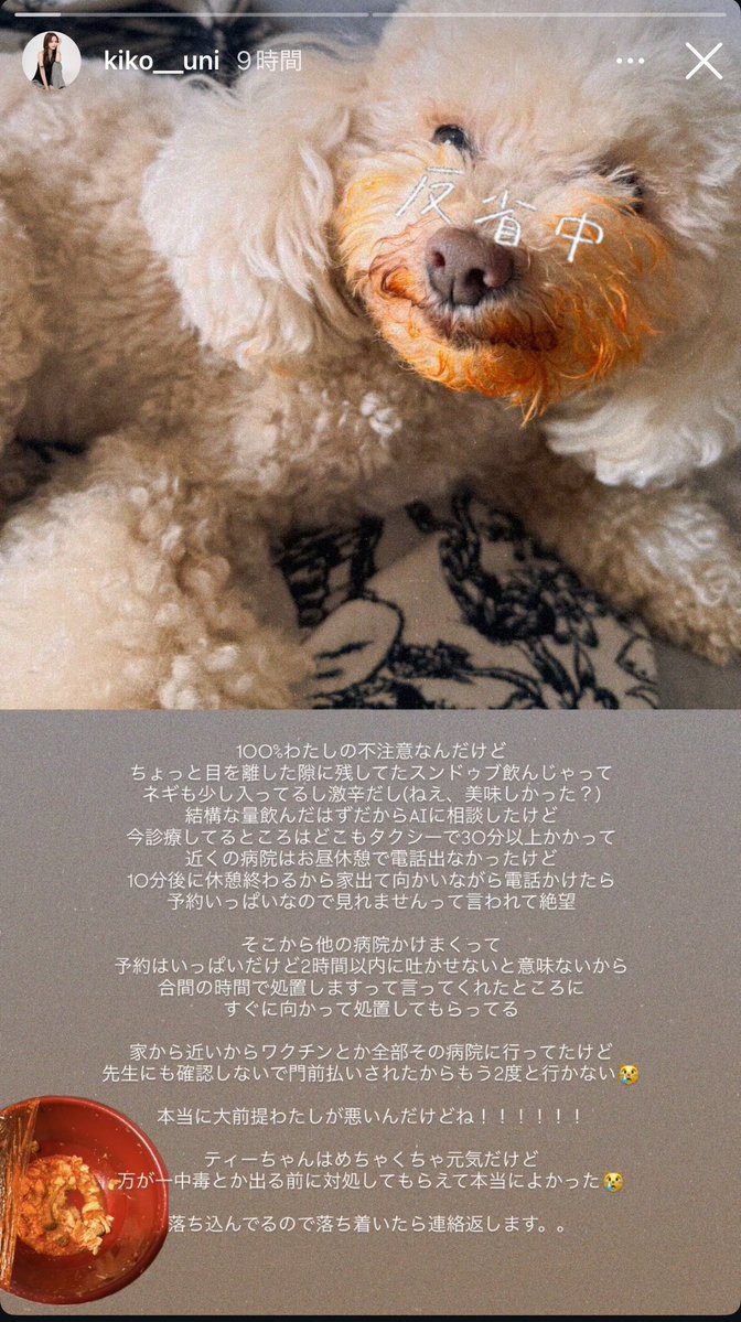 Kimチ tweet media