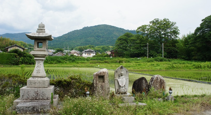 maruetsu55's tweet photo. 田植えの季節 (6/19) #三輪山 https://t.co/qP4Cs3egNy