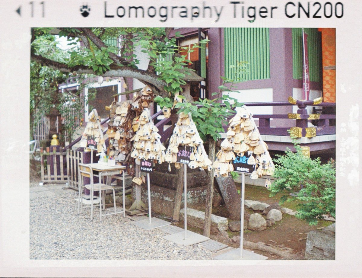 kashimu_HAMA's tweet photo. そして #高木神社 の例大祭を見にいきました。 
渡御はすでに終わっていたのが残念ですが、 
お囃子は聴くことができました。 
高木さん立て看可愛いですね、
#PENTAX auto110 SUPER+ZOOM20-40mm
#110フィルムカメラ 
#LOMO TIGER 期限:2020-3 補正値:なし 
#期限切れフィルム
#カメスズ https://t.co/kphkWmWTKB