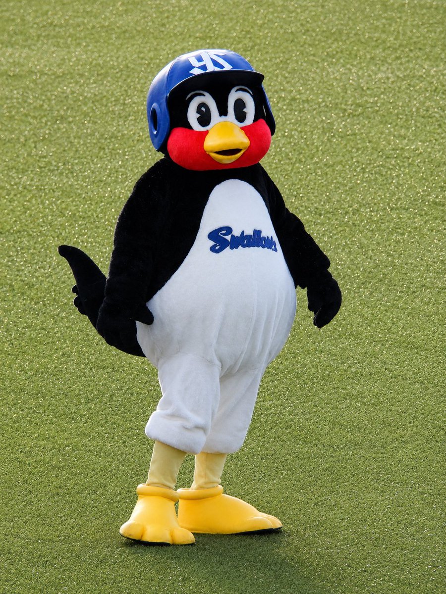 chocochan_70's tweet photo. 本日は野球観戦⚾へ🤗
リーグ戦再開初日にすわほー‼️
発売が開始された スーベニアカップ付きのドリンク🥤もいただきました😀
ジュース🍹で溺れてるつば九郎🐧が可愛い🤣
次回は いよいよ❗つばみちゃん🐧🎀とグリーティングです🤩
#神宮球場  #ヤクルトスワローズ
#つば九郎  #つばみ https://t.co/0OJjLpcb9W