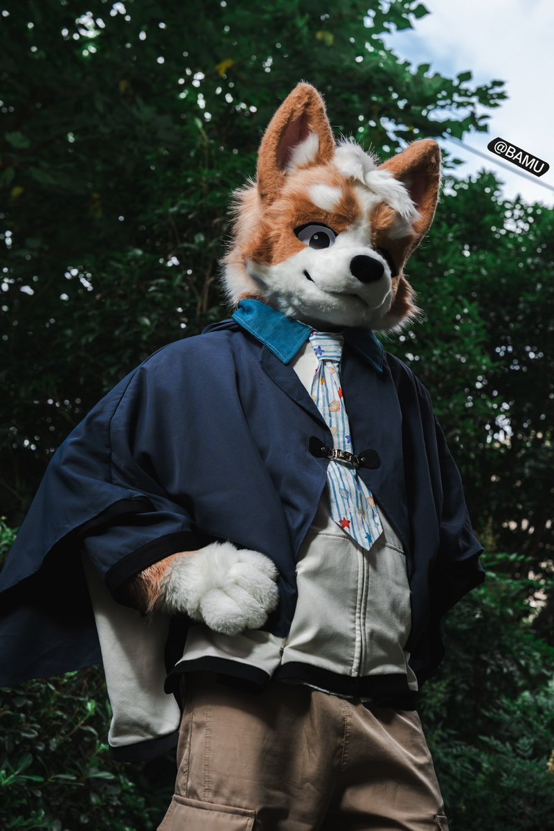 Brioche_Doggo tweet media