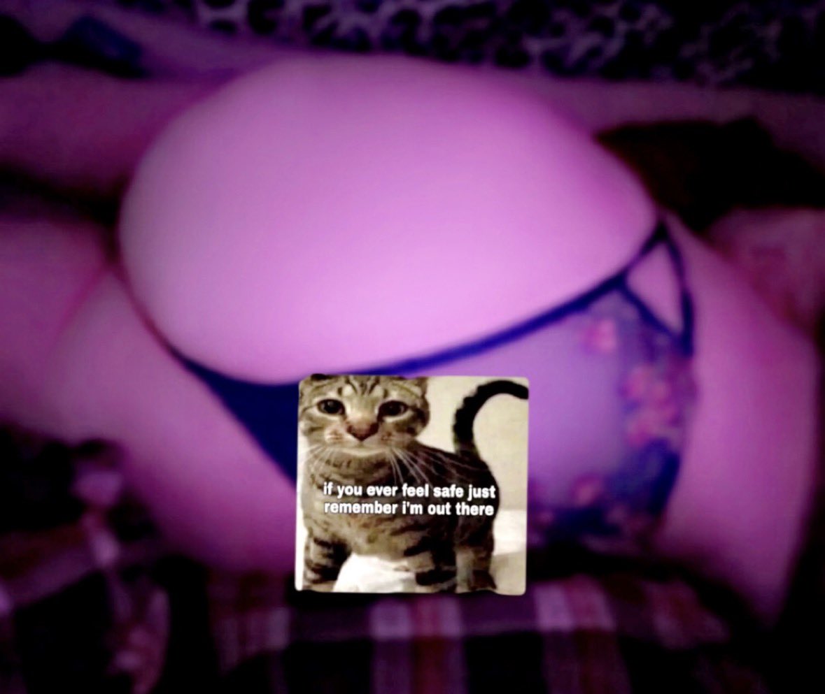 kitty tweet media