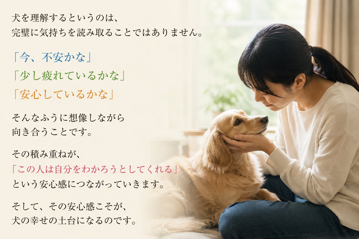 happywans25's tweet photo. 犬を理解するというのは、完璧に気持ちを読み取ることではありません。

「今、不安かな」
 「少し疲れているかな」
 「安心しているかな」

そんなふうに想像しながら向き合うことです。

その積み重ねが、「この人は自分をわかろうとしてくれる」という安心感につながっていきます。

そして、その安心感こそが、犬の幸せの土台になるのです。