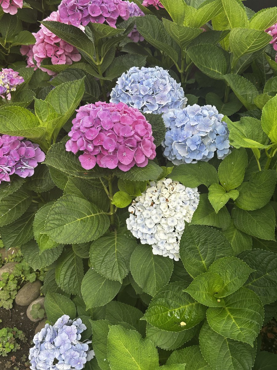 0912_sigan's tweet photo. 最近いってきたよぉ https://t.co/qdauPWUDme