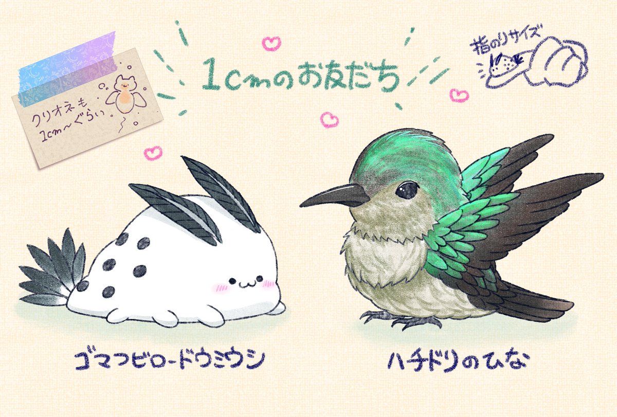 irasutorino's tweet photo. ちいさい生き物は可愛いなって思って描いた💓 
 #イラスト #ウミウシのゴマちゃん https://t.co/fFvhYf7tru