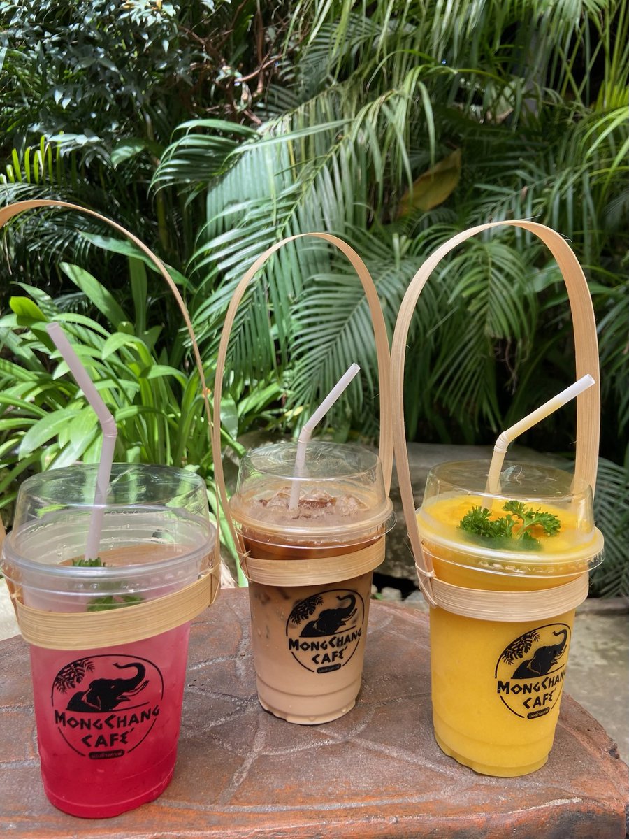 it33782899's tweet photo. 午前中はモンチャーンカフェへ
［旧エレファントビレッジ🐘］
ニューハーフショーやフォトスポットが沢山あって楽しめました✨
今回はココでゾウに乗ります🦣 https://t.co/Y9kus18Vnp