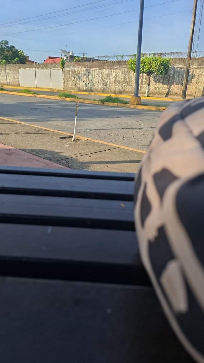 local182osow's tweet photo. Andamos en tux https://t.co/j4hmCVvhyy