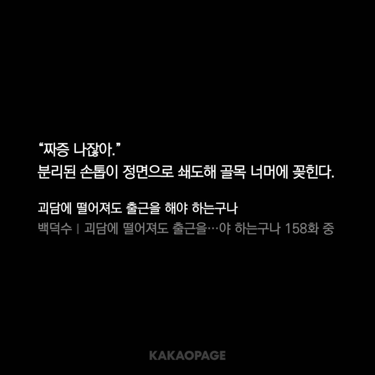 하뵤 tweet media