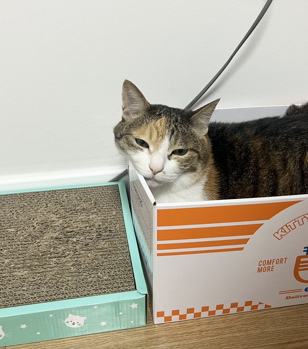 2pepperdiary tweet picture