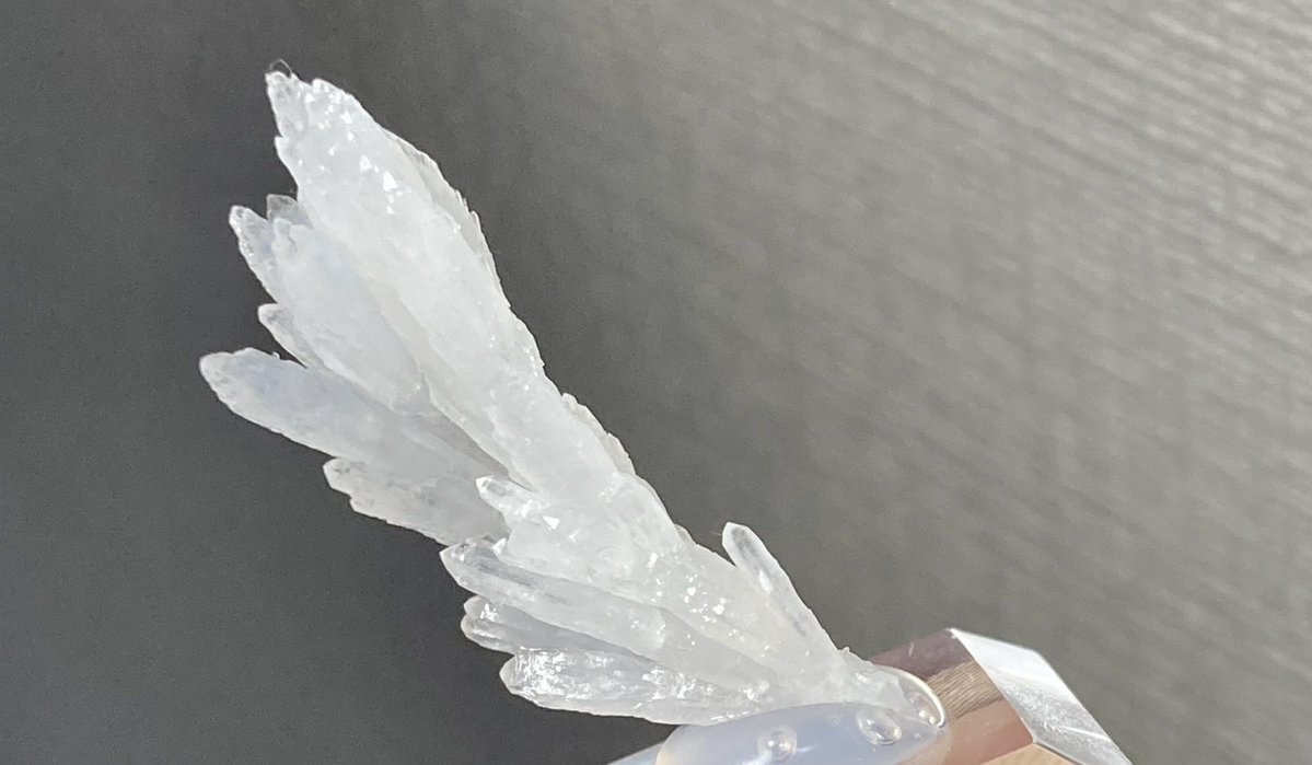 metal_to_isi's tweet photo. i-phoneが壊れていても

元気があれば

ミネラルマーケットに行ける‼️w

過去のミネラルマーケットで
お迎えできた石ホイよっ‼️

鉄電気石

モットラム石

コルネ鉱 孔雀石

天上沢 水晶

家出たらi-phone使い物にならない😅 https://t.co/pcZvb7RpZH