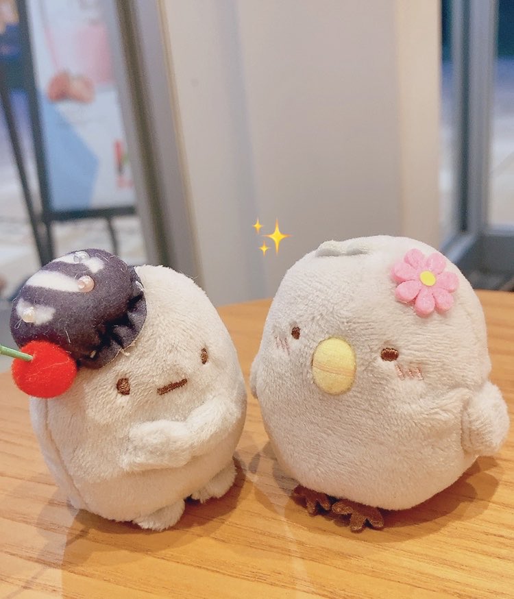 hanehanenoyaya's tweet photo. というか色同じじゃないふたり？？😂

("･ө･)なかま！✨ https://t.co/jVRuPhZUXI