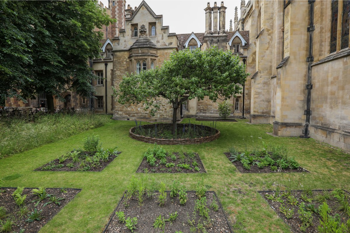 TrinCollCam's tweet photo. Trinity’s gardeners have reimagined the garden created by alumnus &amp; botanist John Ray (1627-1705) on 'Newton's Lawn.'
https://t.co/uzroYKJLh0
Thanks @DonnaLFerguson in The Guardian https://t.co/MCGdWtzQNs
📷Elly White and Wren Library, Trinity College. https://t.co/HFBXOvfQCi