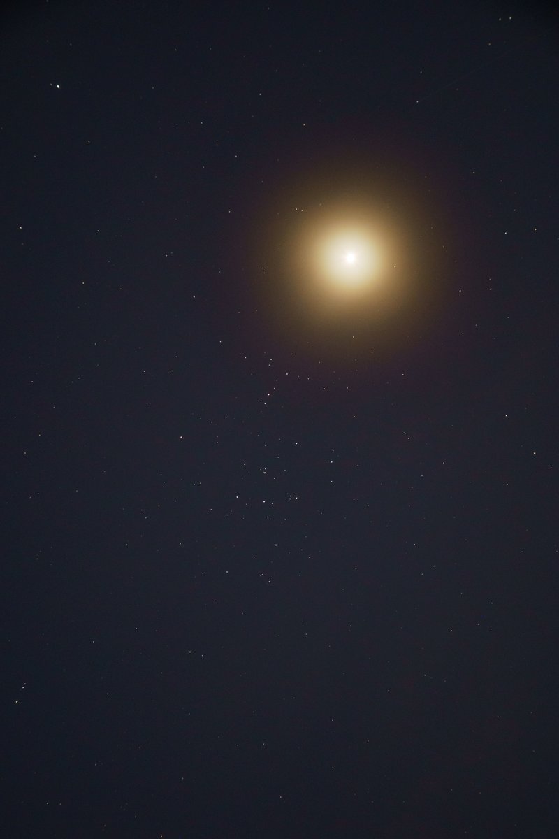 man_ten_bo_shi's tweet photo. 今夜撮影した金星とプレセペ星団です。
明るい星が金星です。写真中央のパラパラとした星の集まりが、かに座のプレセペ星団です。
双眼鏡でも数個の星が見えました。
一番近づいて見えるのは明日6月20日(土)です。
興味のある方は望遠鏡か双眼鏡で挑戦してみましょう。 https://t.co/28eIRslVc9