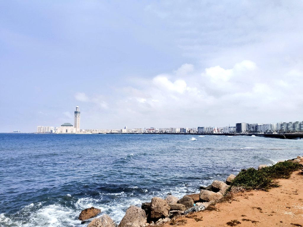 dannygkass's tweet photo. GM 🌞 I made it to Casablanca the largest city in Morocco 🇲🇦 https://t.co/C6Cq0QvJTb