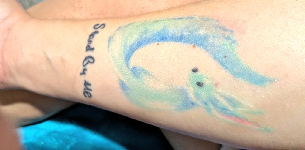 starpupperfly's tweet photo. Carbuncle has always been my favorite Final Fantasy summon, and Final Fantasy XV being my second favorite game I just had to get a tattoo of it. I also plan to have Walk Tall added to this tattoo eventually 🥺
#finalfantasy #finalfantasyxv https://t.co/OSCgqc1W9P