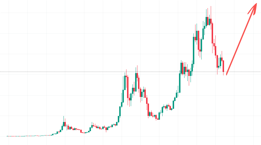 realNowise's tweet photo. bitcoin:native 比特币蓄势待发 https://t.co/0WmF8FcjAQ