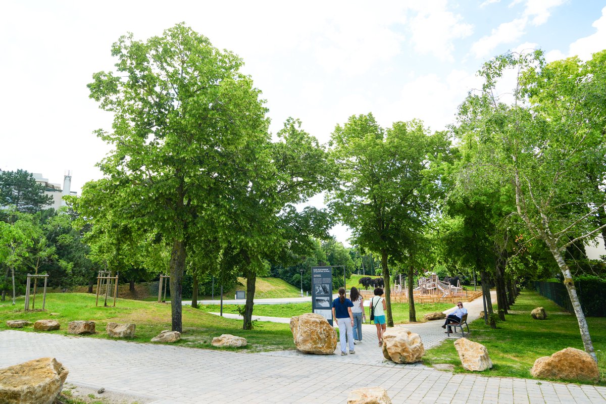 VilledeReims's tweet photo. Le #parc Jean Moulin fait peau neuve ! Un espace repensé pour tous, entre nature, loisirs et convivialité. Les familles, les enfants et les habitants du quartier #Europe peuvent désormais profiter de ce #nouveau lieu de vie et de partage. https://t.co/lZBLaE0HM0
