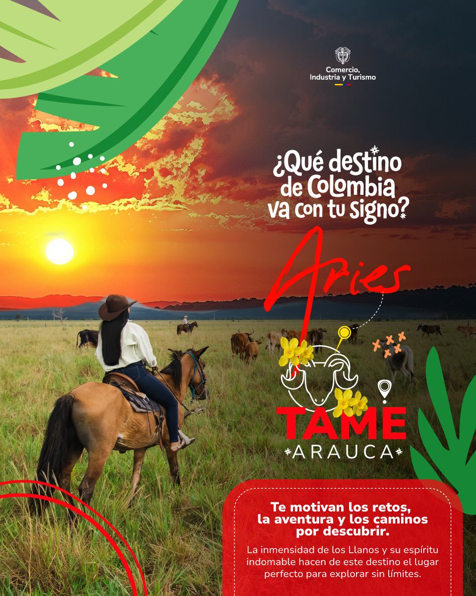 MincomercioCo's tweet photo. Cada signo tiene una forma única de viajar.

Algunos buscan aventura y adrenalina. Otros prefieren la tranquilidad, la cultura, la naturaleza o esos lugares que pocos conocen. Por eso recorrimos #ElPaísDeLaBelleza para encontrar un destino que conecte con la esencia, la energía y la personalidad de cada signo zodiacal.

Desde los Llanos Orientales hasta el Pacífico, pasando por montañas, pueblos patrimoniales, selvas y paisajes que parecen sacados de otro mundo, Colombia tiene un rincón para cada tipo de viajero.

✨ Porque así como no hay dos signos iguales, tampoco hay una sola forma de descubrir el país.

¿Listo para saber qué destino te corresponde según tu signo?

♈️♉️♊️ Cuéntanos cuál es el tuyo y si acertamos con tu próxima aventura.
