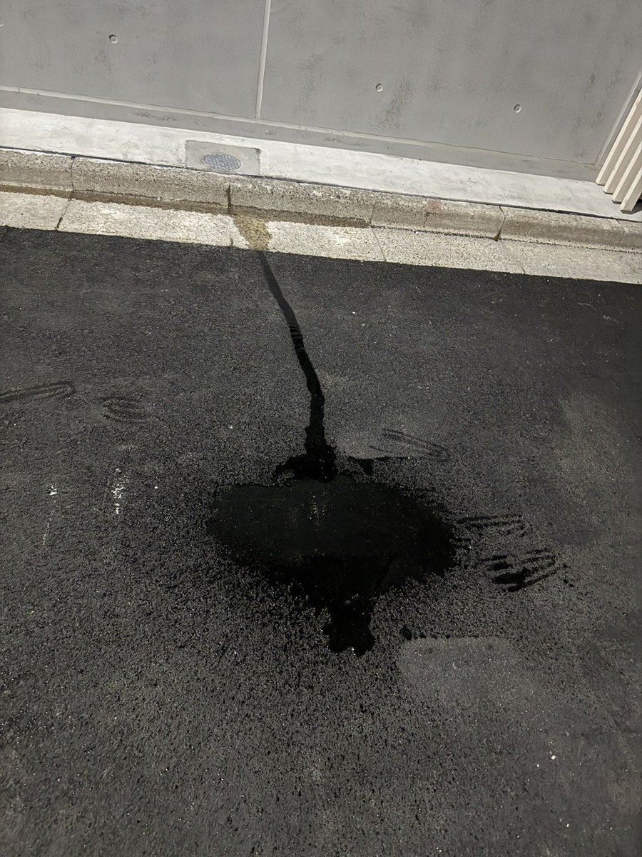 a_oshigama's tweet photo. 外に自撮り棒置いて、道の真ん中でする不審者😇

なんかこれ載せるの怖いから、リポストしてくれた人の誰かにDMで送り付ける！ https://t.co/MgJQX21F9D