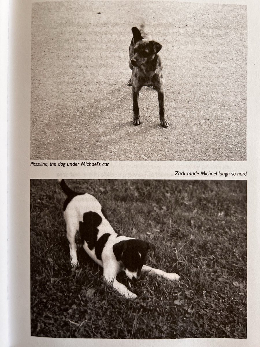 LiberianGirl779's tweet photo. I’ve read a lot of stories about Michael, but this one is the sweetest I’ve ever come across. It’s about a dog that hid under Michael’s car. You’ll have to read for yourselves everything Michael did to help not just that dog, but the entire animal shelter 🥺😢💔 1/2 https://t.co/km3mck4VA0