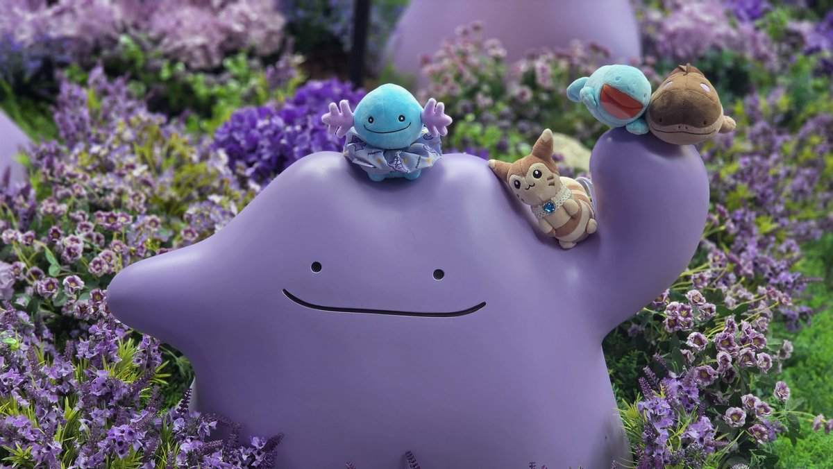 nion156394's tweet photo. 💜🩵🤎🩵 https://t.co/DtZjdnK6qs