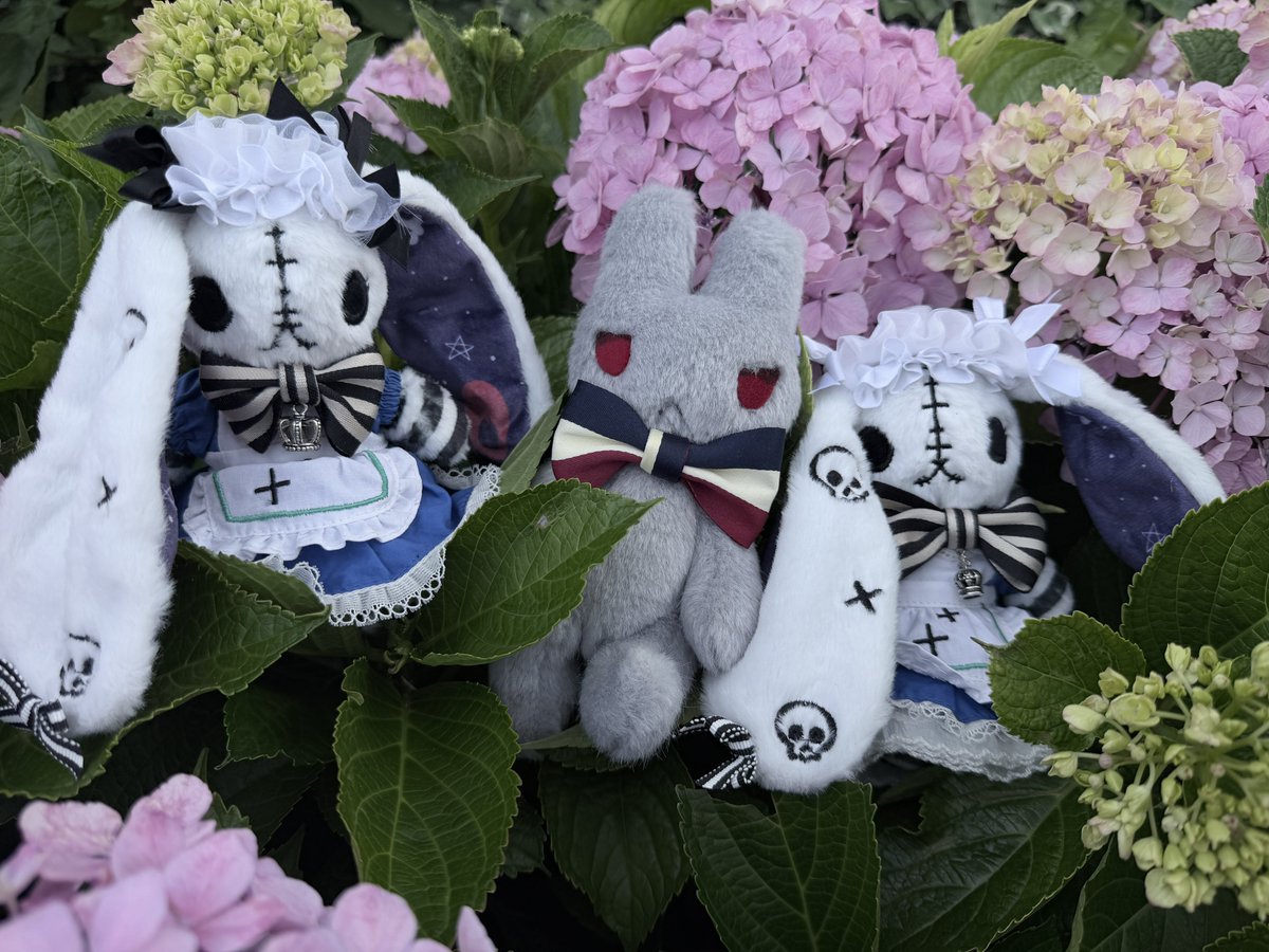 tento_315's tweet photo. あじさい✨　 #PlushieDreadfuls https://t.co/9yyE7oOv1P