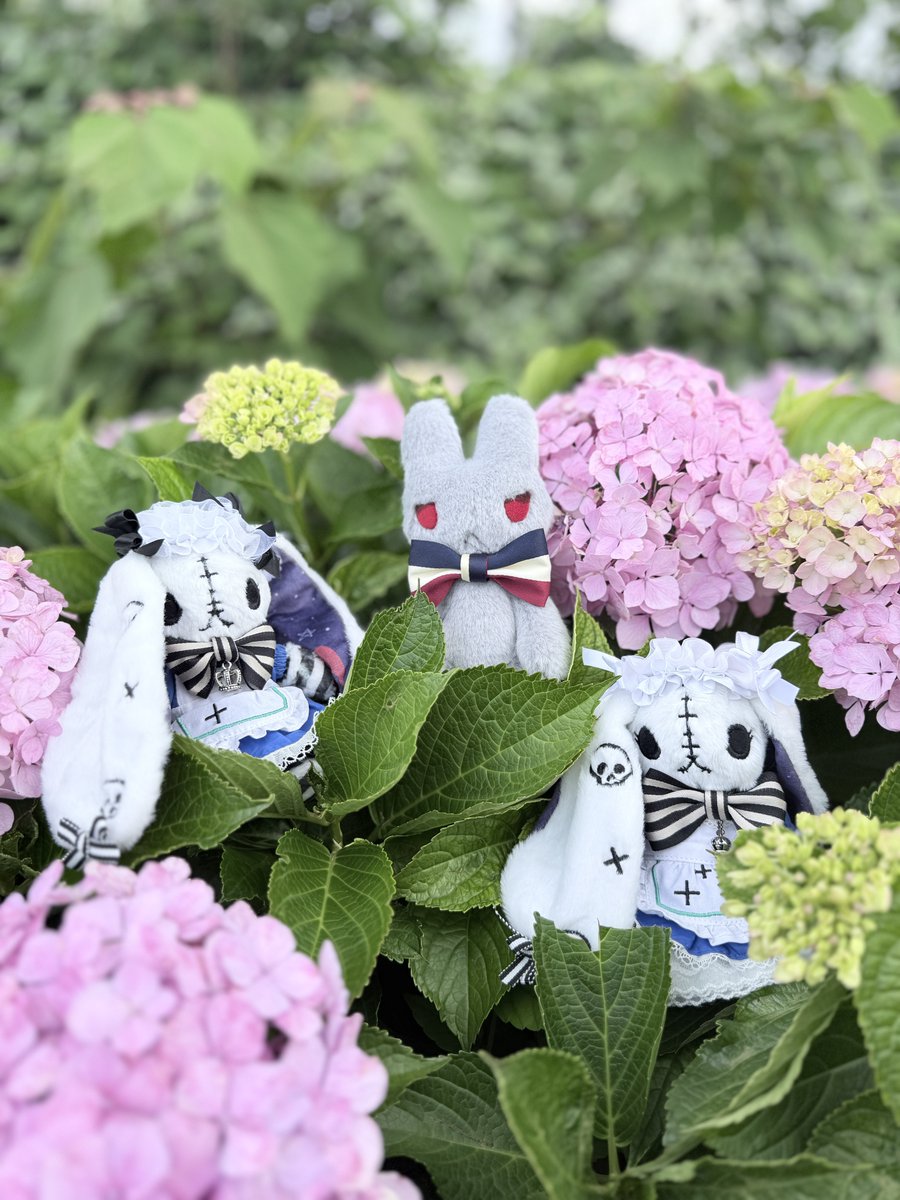 tento_315's tweet photo. あじさい✨　 #PlushieDreadfuls https://t.co/9yyE7oOv1P