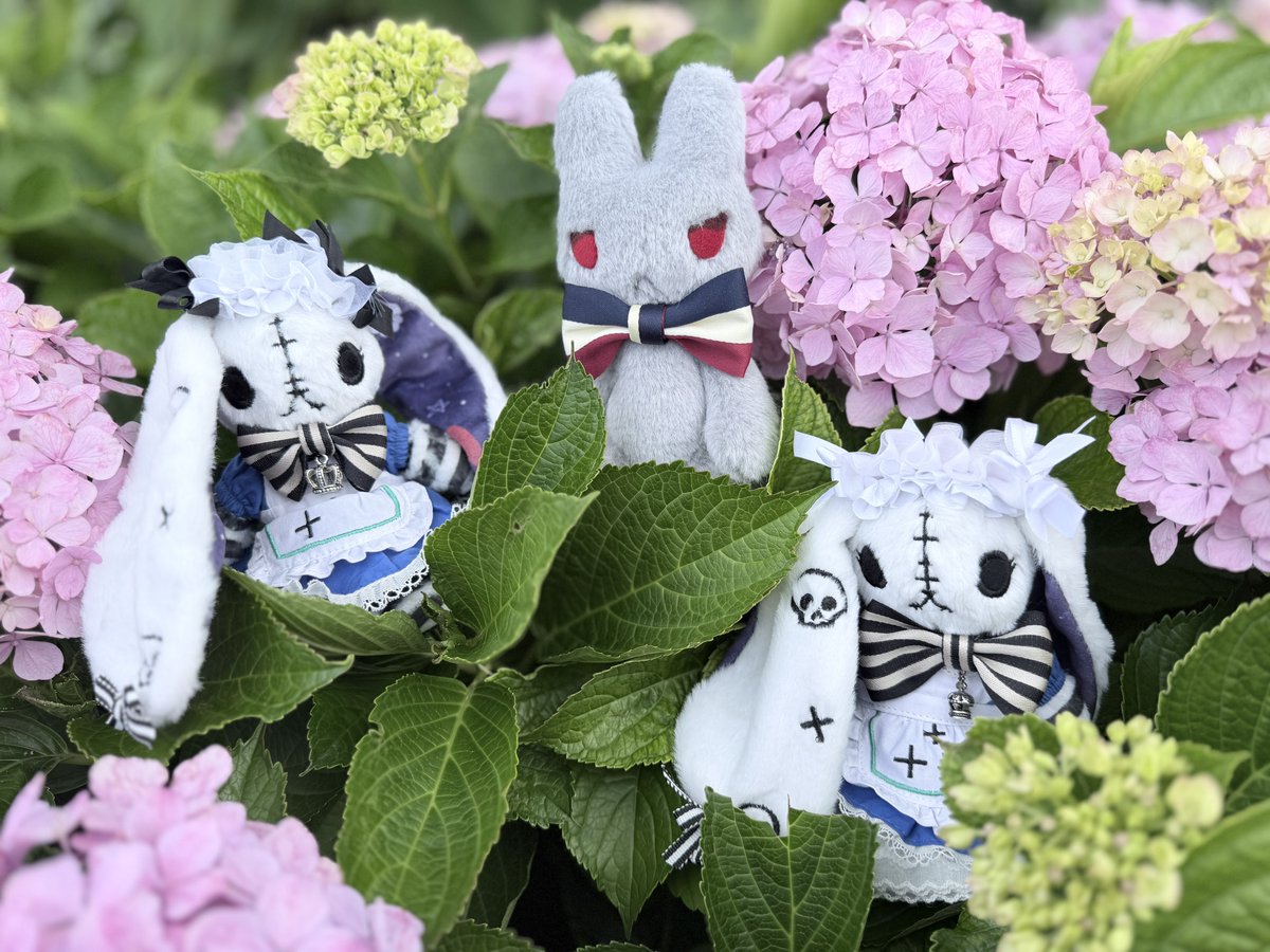 tento_315's tweet photo. あじさい✨　 #PlushieDreadfuls https://t.co/9yyE7oOv1P