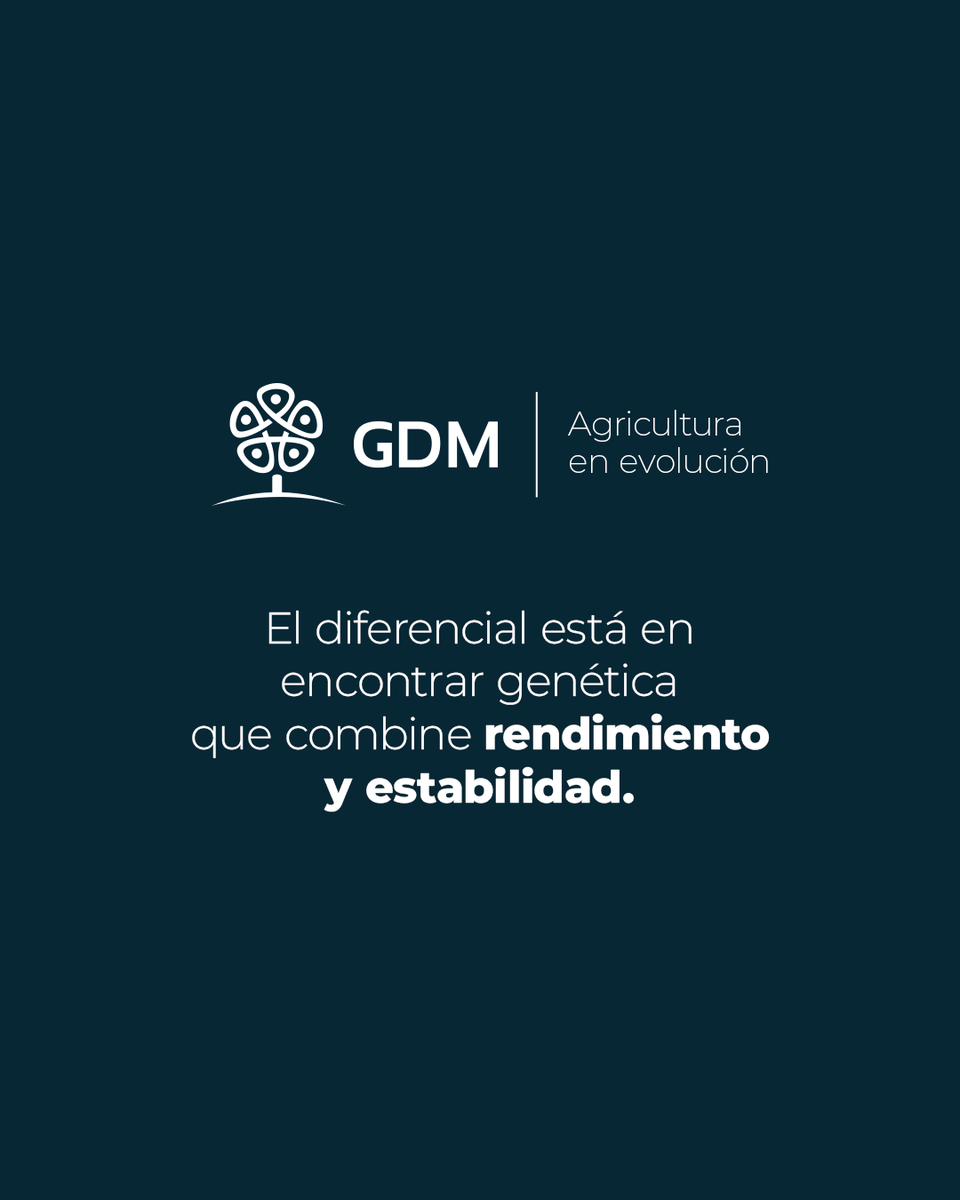 GDM tweet media