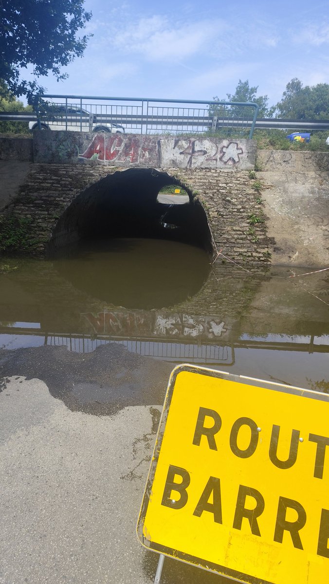 didzluv's tweet photo. Le caca de toute la ville on peut plus trainer sous les ponts trql https://t.co/WcnK8MDZVD