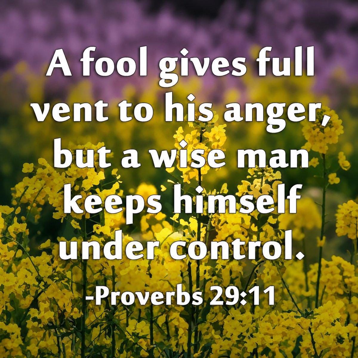 The__Bible7's tweet photo. Proverbs 29:11 https://t.co/4tHcvw3Jwq