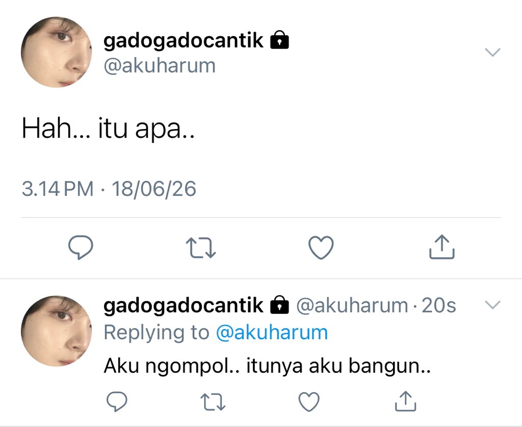 Meow tweet media