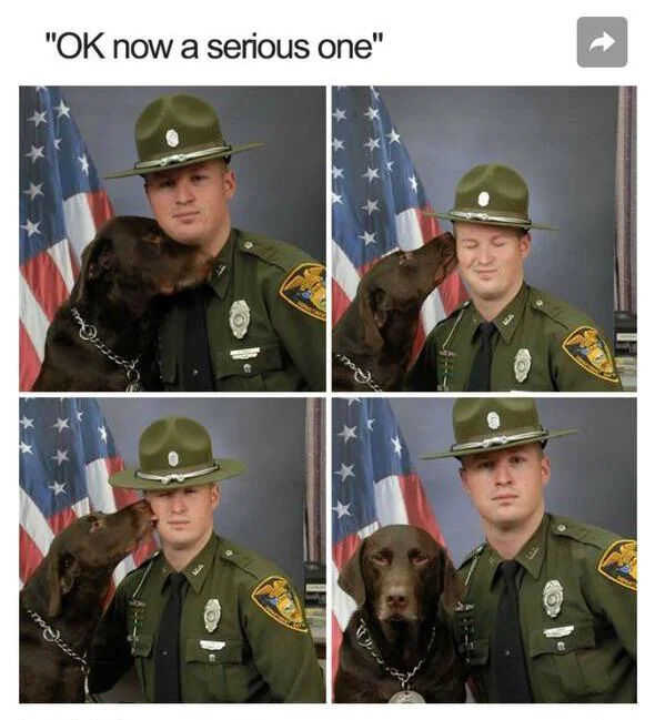 WholesomeMeme's tweet photo. https://t.co/g5pok33cNW