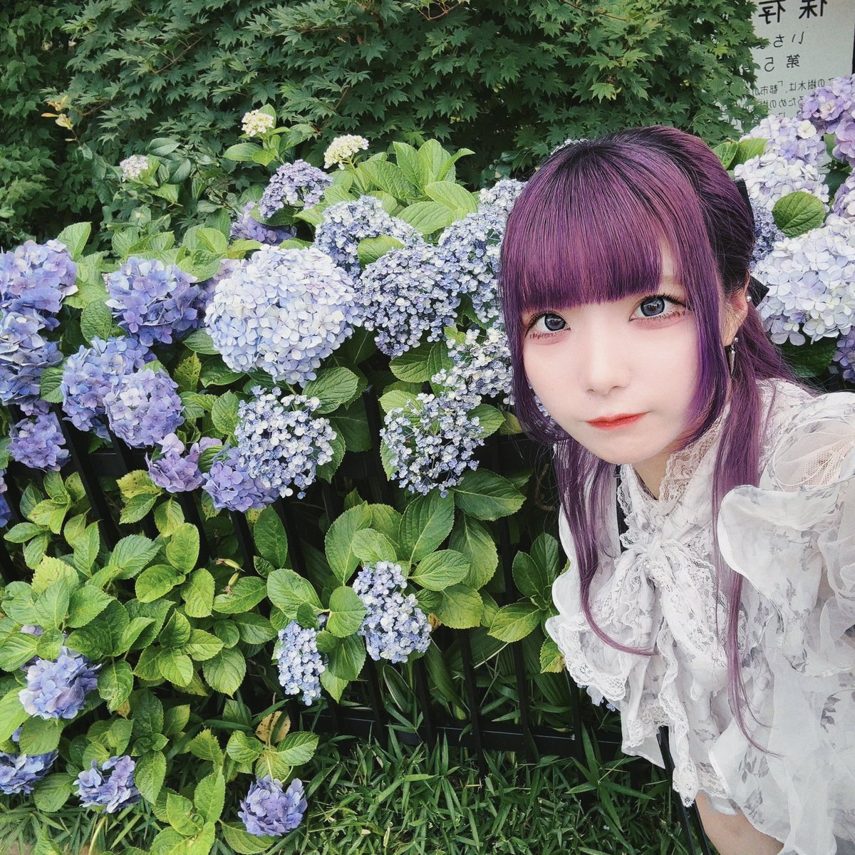kazu@初見の人。 (@kaza1224) / Posts / X