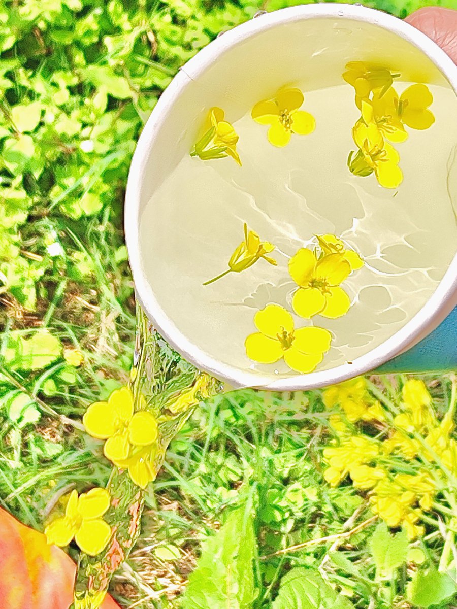 Albert94362895's tweet photo. Just borrowed a cup of sugar from the neighbor next door, and we ended up chatting for 20 mins about our weekend garden plans—love these little warm moments in the block!， https://t.co/3cPNE38dbC