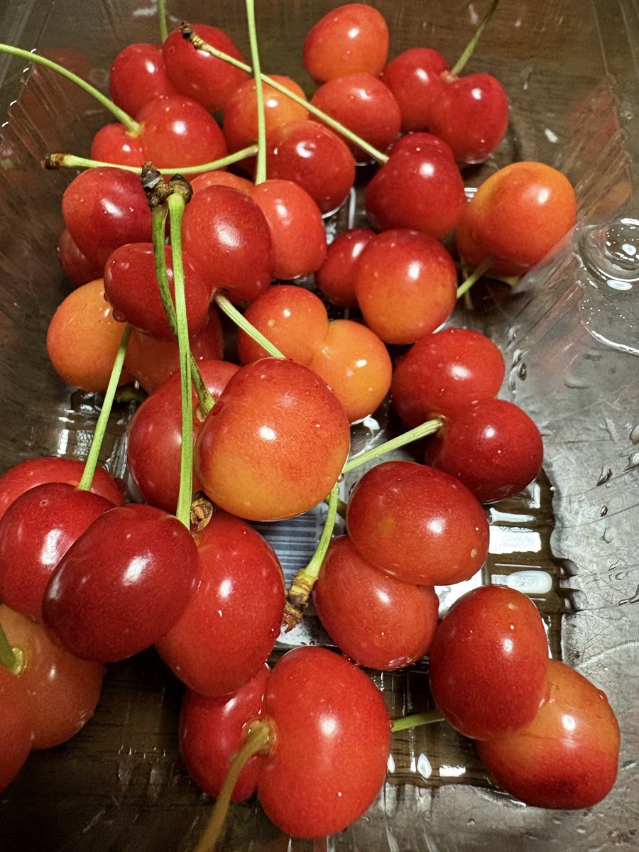 39_eat's tweet photo. 日本一幸せな訳あり🍒　
#訳あり　#お得　#さくらんぼ
#佐藤錦 https://t.co/CyvJwQqUjK