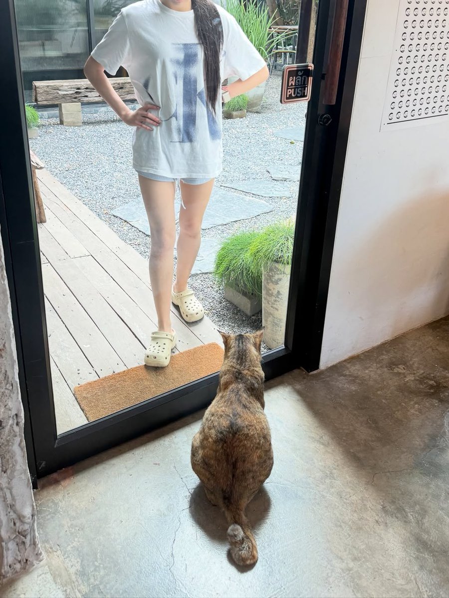 Peysaurus_TH's tweet photo. — [🦕📸] peystagram post 4/7

Kannajaburi

ig : pitchapaeyah
#pitchapaeyah https://t.co/r8I6DlHCL5
