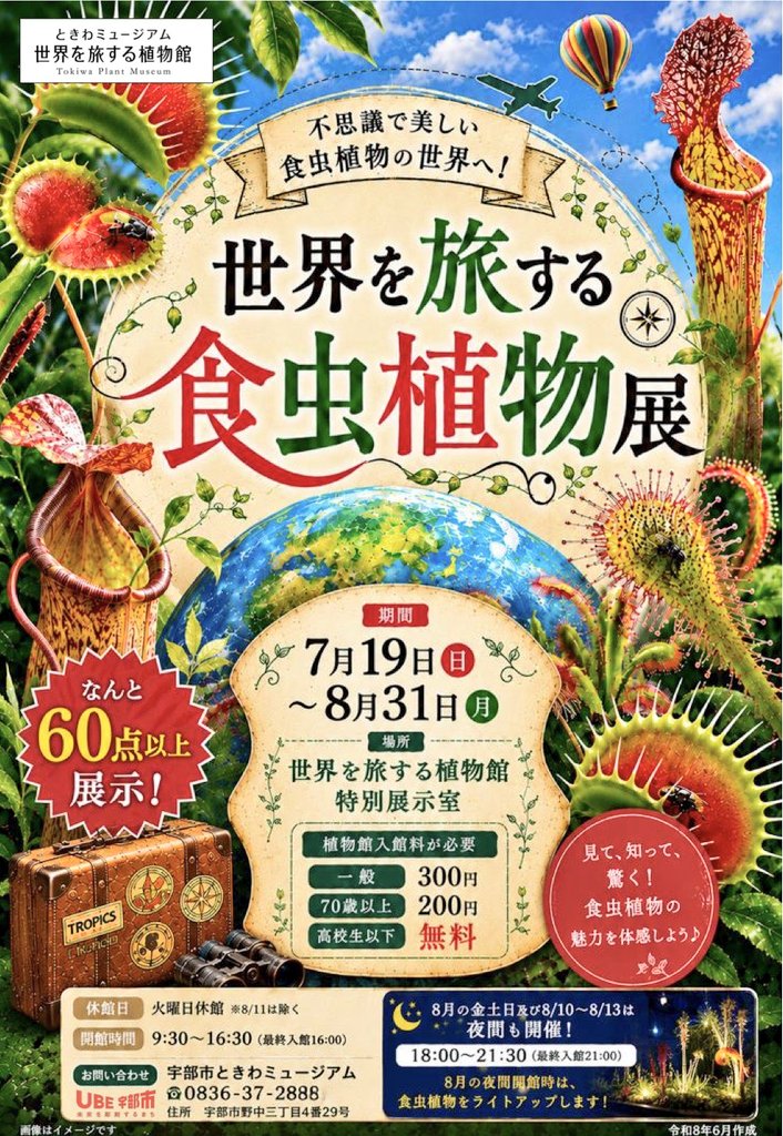 Zassou32's tweet photo. 夏休みは食虫植物展へ🌱🪰 https://t.co/yu2Lt4PyRY