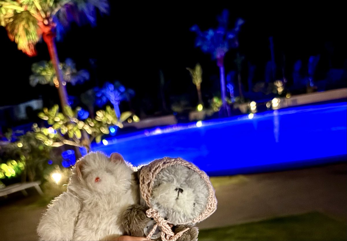 nuoooooopokemon's tweet photo. パリピな2人
#urue
#フムフム
#TinyKoala https://t.co/SyPGmGflQm