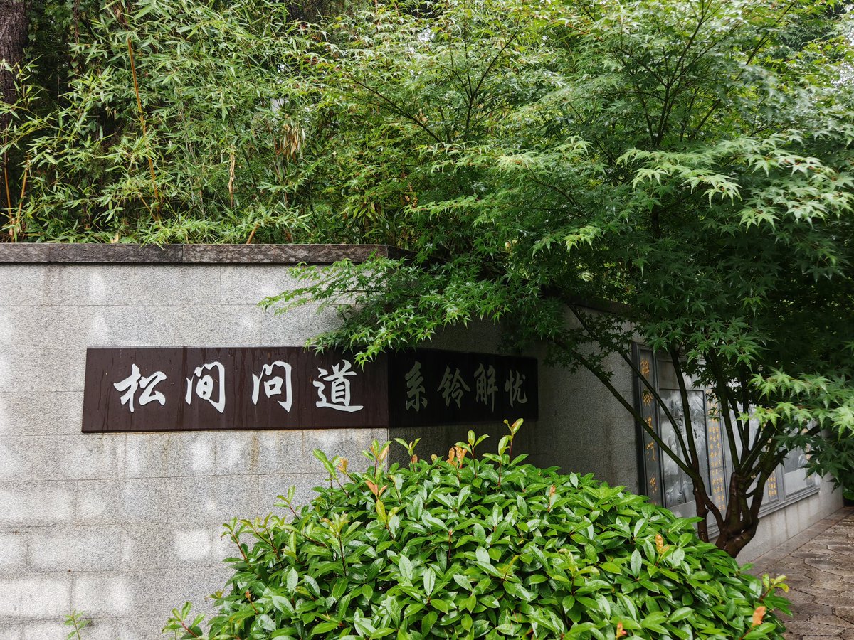 wangcsair's tweet photo. https://t.co/Q5qrr8AtFS