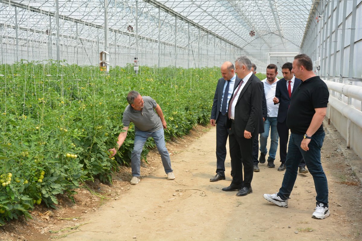 SefaSerdal's tweet photo. Ziraat Bankası Bölge Müdürümüz Sayın Rafet Pişmaf, Bafra Şube Müdürümüz Sayın Ünsal Ocak ve beraberindeki heyet ile birlikte Bafra Sera OTB’de incelemelerde bulunduk. Üreticilerimize ve yatırımcılarımıza verdikleri finansman desteklerinden dolayı kendilerine teşekkür ediyorum. https://t.co/GzkZFYmG21