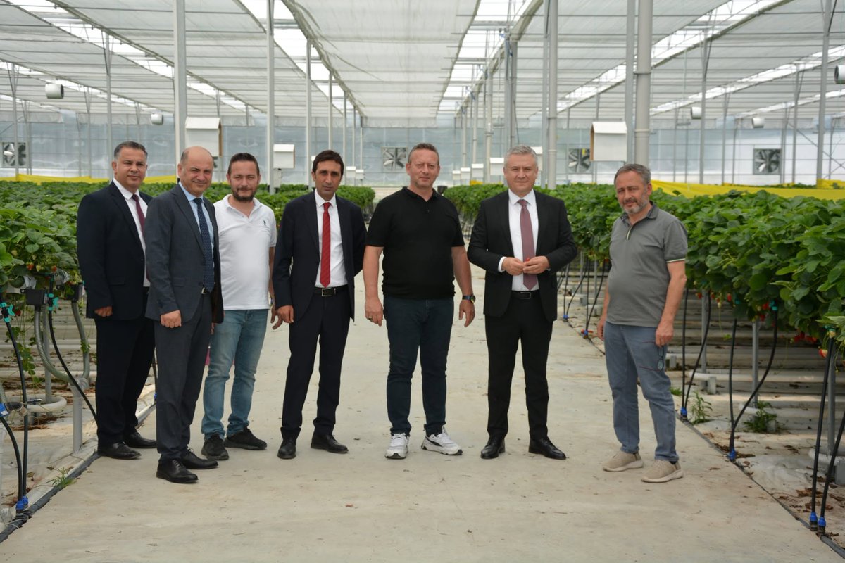 SefaSerdal's tweet photo. Ziraat Bankası Bölge Müdürümüz Sayın Rafet Pişmaf, Bafra Şube Müdürümüz Sayın Ünsal Ocak ve beraberindeki heyet ile birlikte Bafra Sera OTB’de incelemelerde bulunduk. Üreticilerimize ve yatırımcılarımıza verdikleri finansman desteklerinden dolayı kendilerine teşekkür ediyorum. https://t.co/GzkZFYmG21