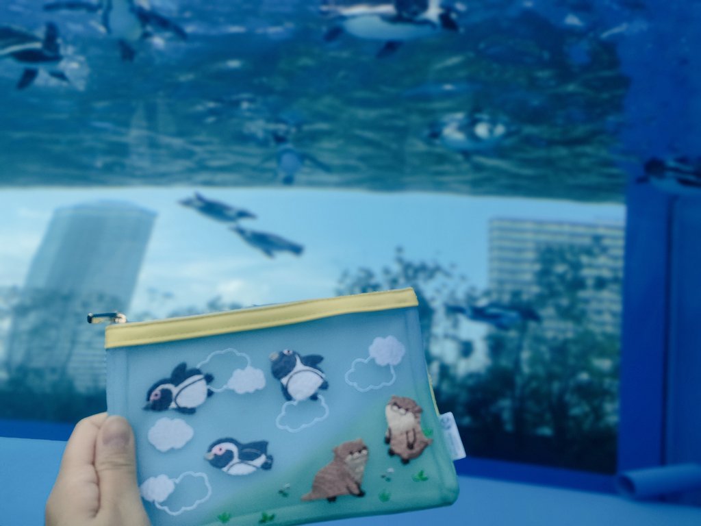 gau0226's tweet photo. サンシャイン水族館✨ https://t.co/kLlwPPnVFC