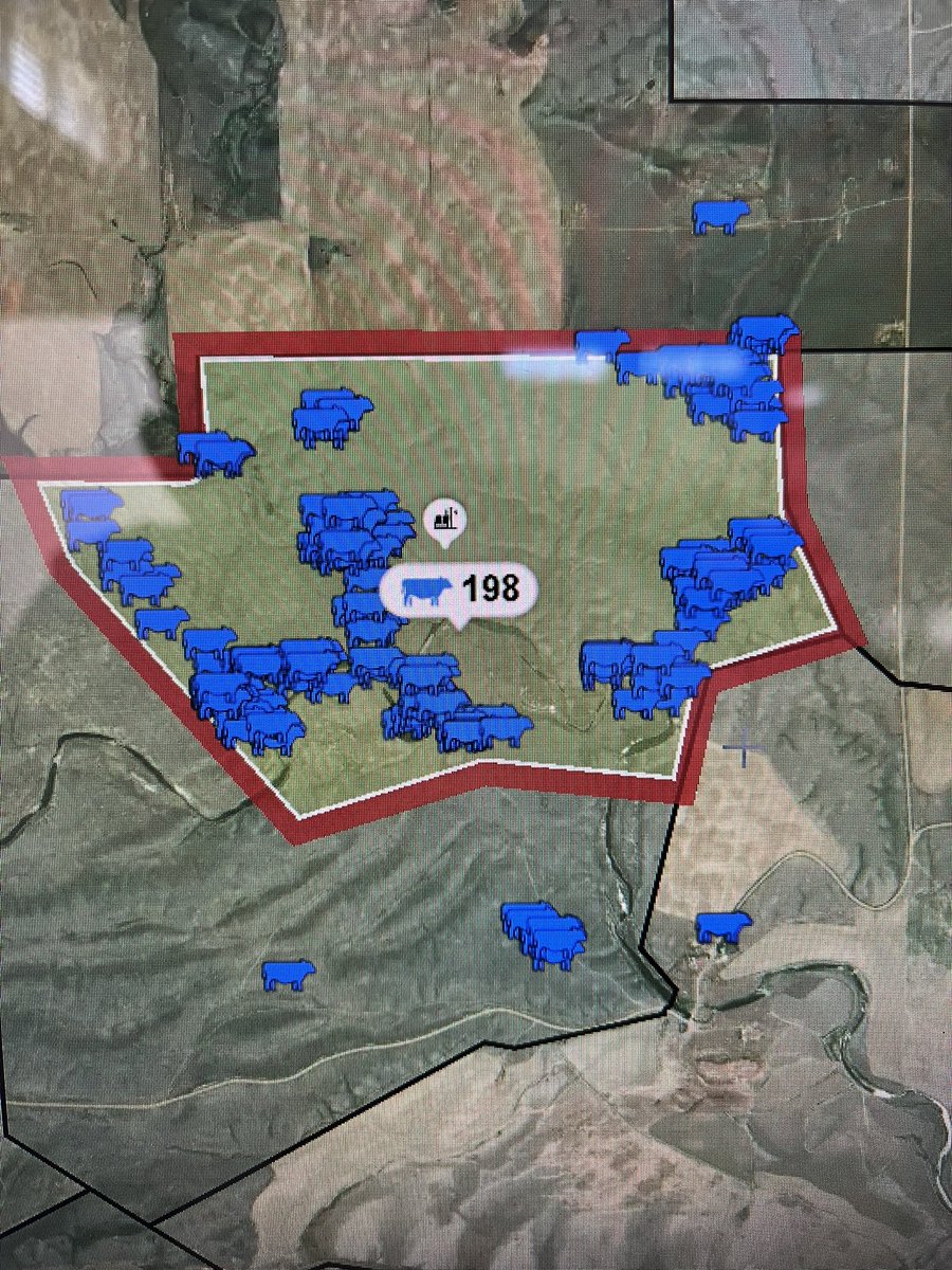 ObrechtTyrel's tweet photo. 2 days into the first virtual line and 95% of cattle are compliant.  The remaining 5% just need hazed north, as they can get water south of the “fence”.  Lots of new ideas and fads out there, this tech isn’t a fad, IMO. https://t.co/jYVsHQtZXr