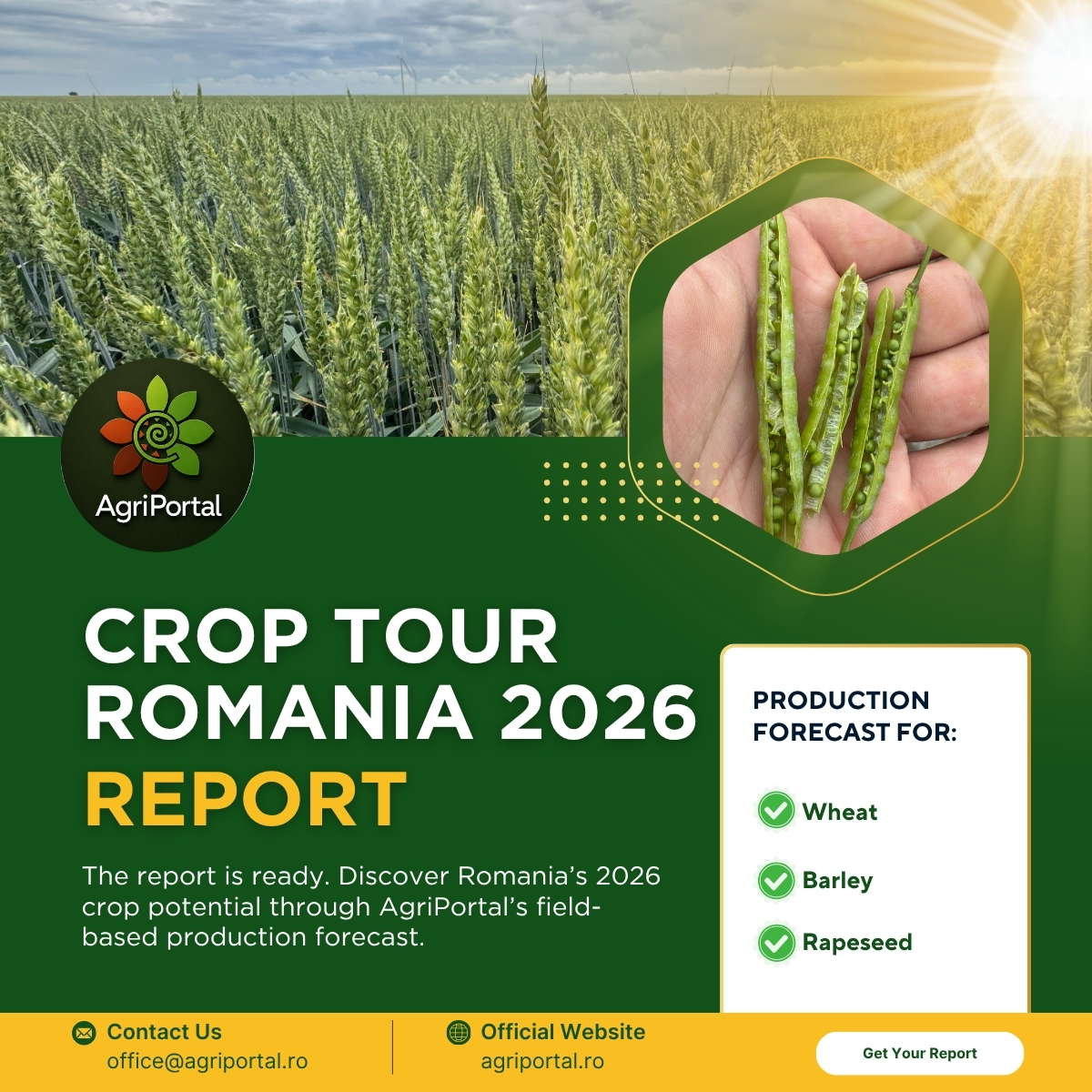 AgriPortalRo's tweet photo. AgriPortal’s Romania 2026 crop forecast is out!
Our field-based Crop Tour Report covers wheat, barley and rapeseed, plus early insights for corn and sunflower across Romania’s key regions.
Preview/full report: office@agriportal.ro
#CropTour #Harvest2026 #Crop2026 #Romania https://t.co/KYBBU2KaBQ