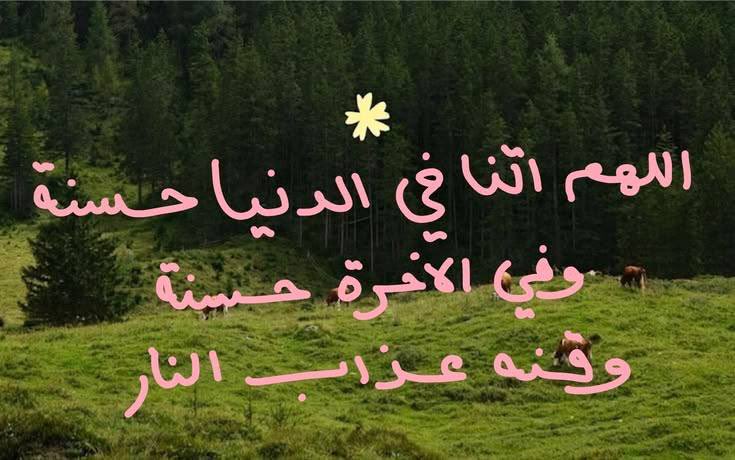 mie9n's tweet photo. « يارب » https://t.co/KTKl5fXh3n