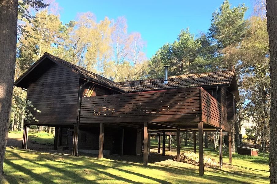 WeAcceptPets's tweet photo. ☀️ Rare Summer Availability ☀️ 

The Treehouse has availability from Monday, 13th to Friday, 17th July. Offer price £795. 📅 

Take your four-legged friend with you as they stay for free during these dates. 🐕️

Accepts 🐶 
https://t.co/NepqtY1scP

#TheTreehouse #Availability https://t.co/U4MJ2bSgry