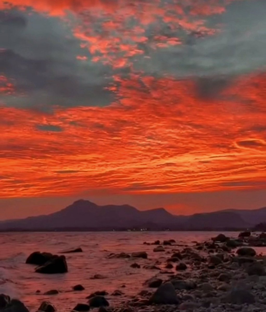 lfsur's tweet photo. ¡Buen día! ¡Maravilloso amanecer hoy en Bariloche!
Patagonia 🇦🇷🧉🍁☀️ https://t.co/wUwmtEDINH