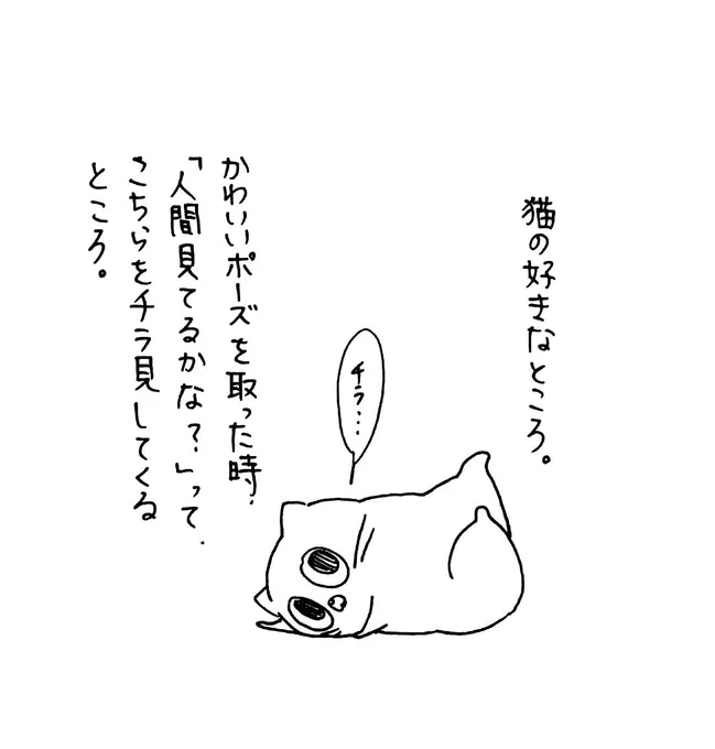 猫の好きなところ 