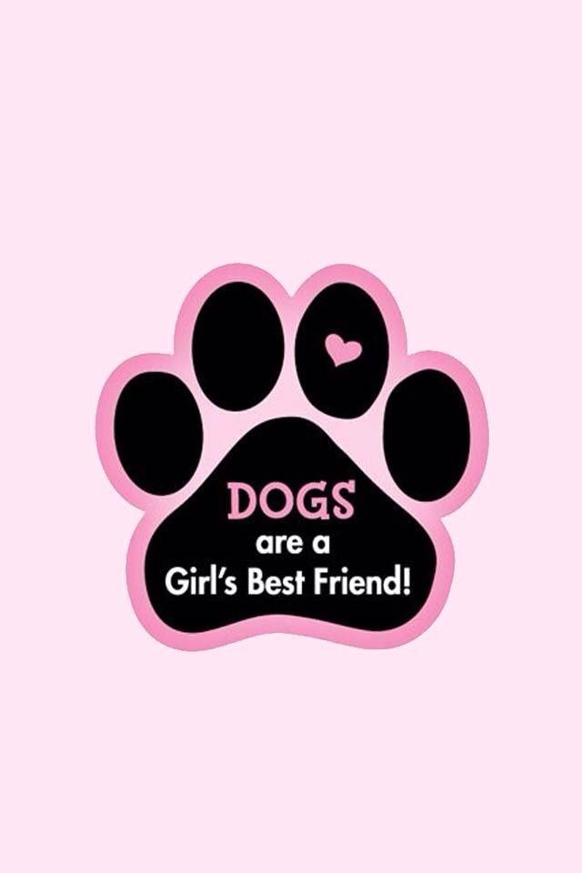 Emily130386's tweet photo. It’s my dog dip inside me on telegram htt0ps://t.me/Jennifer71234 #zoophillia #zoosarevalid #beastiality
#dogknot #zooprideisvalid #zoophile
#antizoo #antizoophile #zoopride
#zoophilepride 
#Bestiality 
#zooisnotvalid
#Beastmode 
#BeastBeat 
#USA https://t.co/4uqDiVEXQR